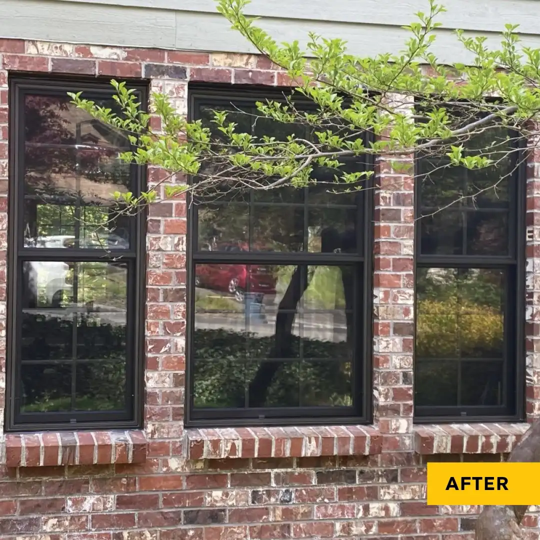 Exterior view of Marvin Replacement Double Hung windows with a bonze finish.