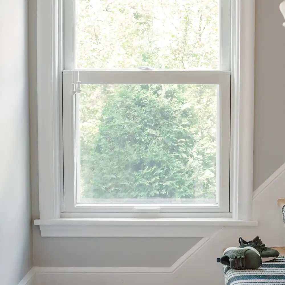 Close up interior view of a white single hung window.