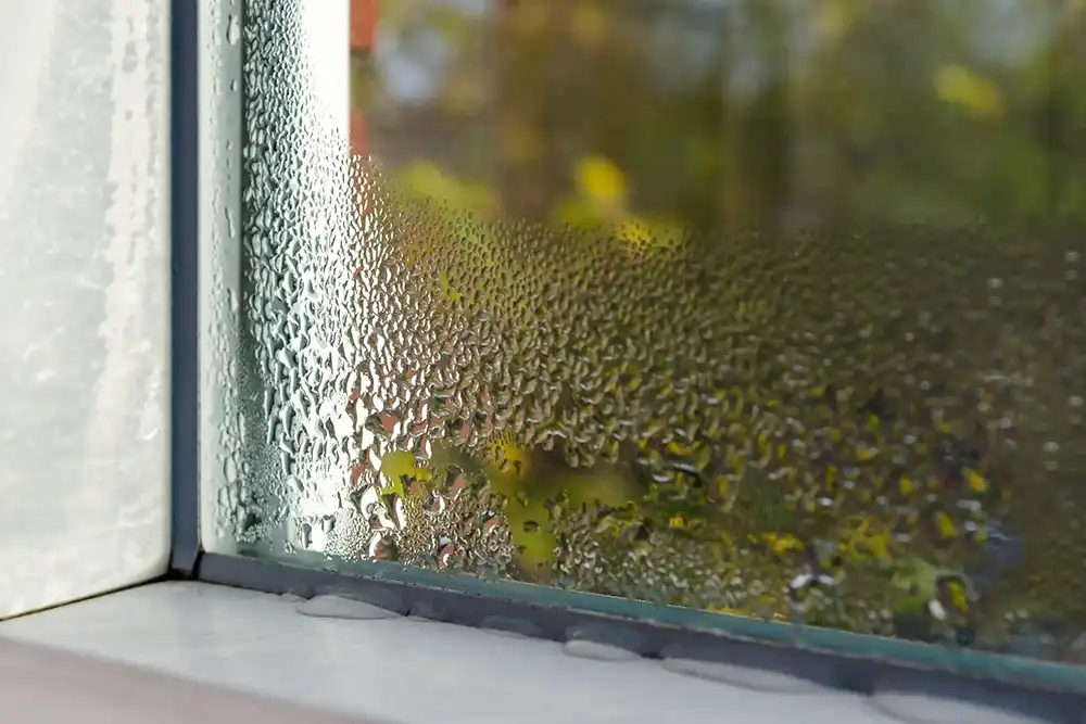 Condensation appears on a window sill and a lower corner of a window.